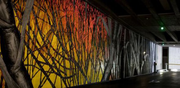 Foto de Pauliana Pimentel